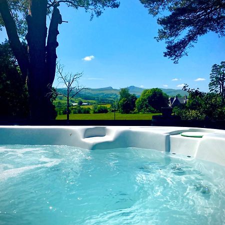 Mountain View Cottage, Hot Tub , Stunning Views Llanhamlach Εξωτερικό φωτογραφία